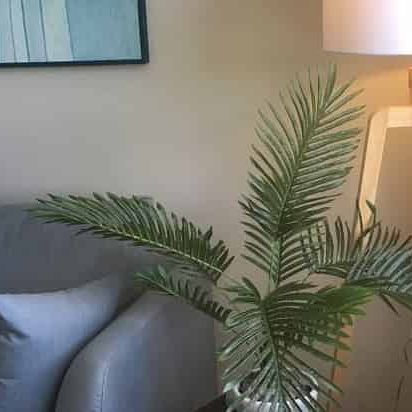 Fully furnished apartment near hospital - Photo 1