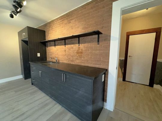 Central Barrie: Newly Renovated 1 Bed, 1 Bath Unit, Wellington St. West - Photo 1