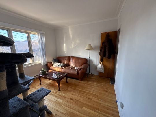 Rue Springland, H4E 2G9, Montréal - Photo 1