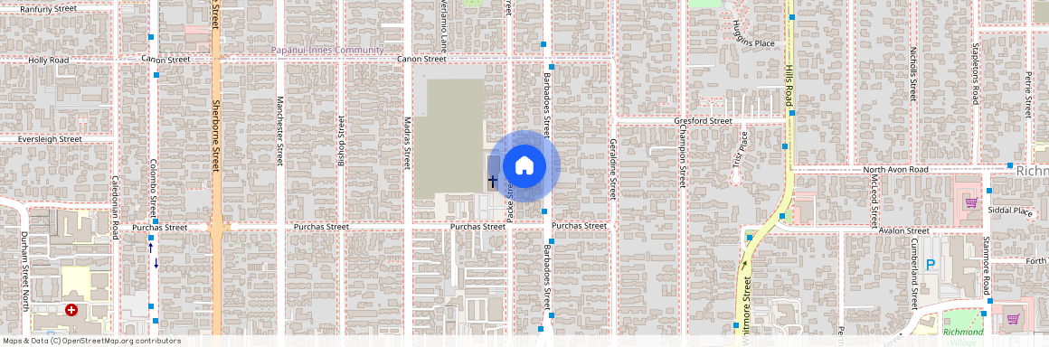 1/66 Packe Street, Edgeware, Christchurch City