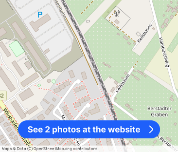 Marie-Juchacz-Straße 66, 55252 Wiesbaden OT Mainz-Kastel - Photo 1