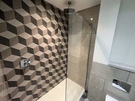 Studio Flat, Alma Street, S3 - Photo 5