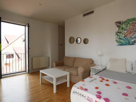 Calle de la Pasa, Madrid, Community of Madrid 28005 - Photo 4