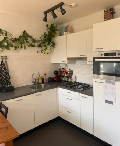Appartement de 4 pièces Montaubanstraat, Zeist – À louer - Foto 5
