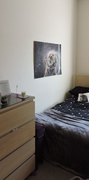 Student Properties to Let - Photo 1