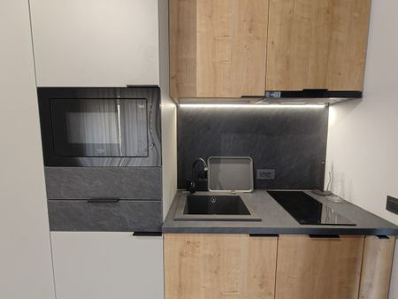 Luxury studio for rent in Cluj-Napoca, 4 minutes walk from the University of Medicine and Pharmacy, located in a recent building, in Zorilor area - Fotografie 3
