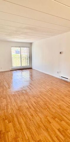 SUPERBE 4 1/2 RDC - rénové avec goût! Gym + piscines, 15 mars ou avril - Photo 1