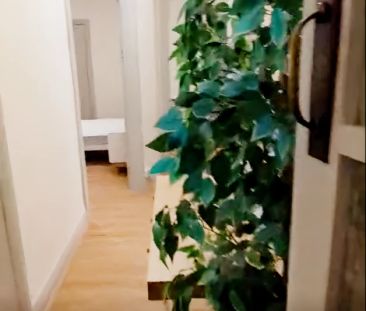 45 Houston Rd, Sydney - Photo 5