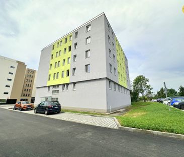 Byt 2+kk k pronájmu, Třebíč / Horka-Domky, ulice Družstevní - Photo 6