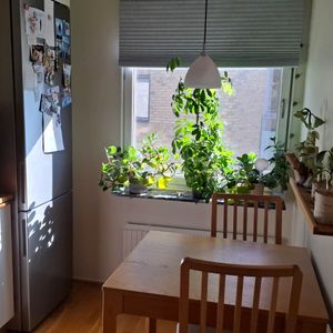 Vattugatan, Göteborg - Foto 3