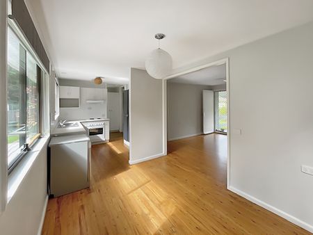 Central Coffs Harbour Home on Large Flat Block - Photo 3