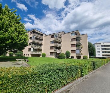 Silencieux avec emballage vert - Photo 1