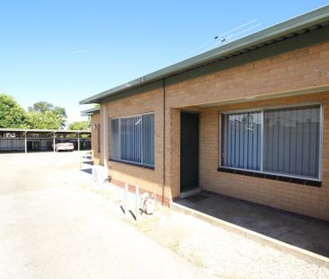 Fly Solo in this Fantastic Flat - Photo 5