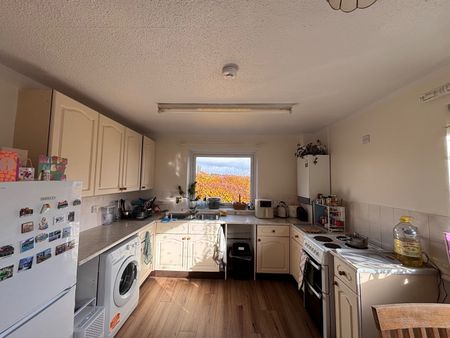 Room in a Shared Flat, Ascot Court, G12 - Photo 5