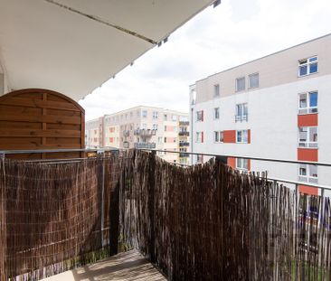 Poznań Poznań-Stare Miasto, ul. Karpia - Photo 2