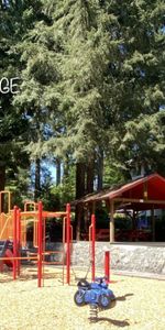 Blueridge Apartments - Photo 3