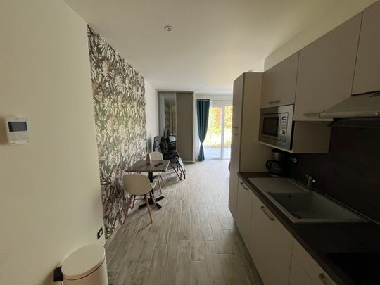 Location Appartement 1 pièce 30m² CARMAUX 81400 - Photo 1