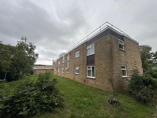 1 bedroom ground floor flat to rent - Photo 1