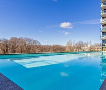 Manhattan on the Park - Photo 4