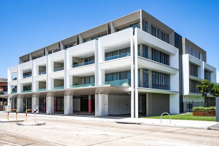 405/113 Macpherson Street, Bronte - Photo 3