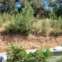 Διαμέρισμα για ενοικίαση - Πολίχνη, - Photo 3
