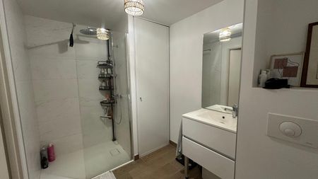 Location Appartement 2 pièces 40m² TOURS 37000 - Photo 5