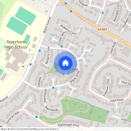 Firethorn Close, NR8