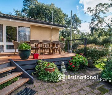 FAMILY FRIENDLY HOME OPPOSITE BELGRAVE LAKE PARK - Photo 6