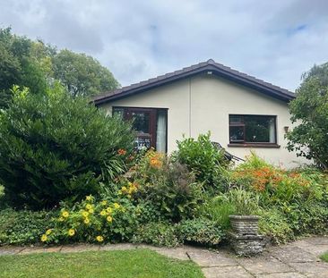 2 bedroom detached bungalow to rent - Photo 2