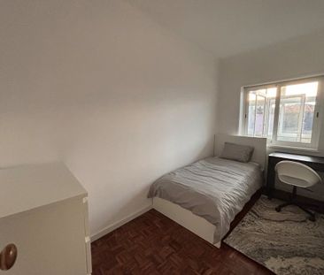 Rua Doutor Alves da Veiga, Porto, Braga 4000 - Photo 5