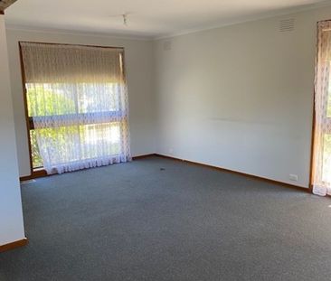 Spacious Two Bedroom Unit! - Photo 6