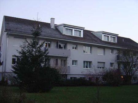 Baselland MFH Grabenring - Foto 4