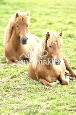 "Junges Paar aufgepasst! - Euer nächstes Kapitel beginnt hier!" - Foto 5