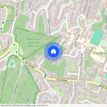 30A Adams Terrace, Aro Valley, Wellington