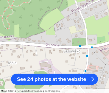 Tarasy widokowe, sauna, fotowoltaika, pompa ciepła - Photo 1