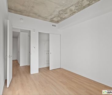 222-5630, rue de Marseille, Mercier / Hochelaga / Maisonneuve à louer - Photo 3