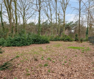 Woning met 5 slaapkamers en directe toegang tot de Kalmthoutse Heide! - Foto 4