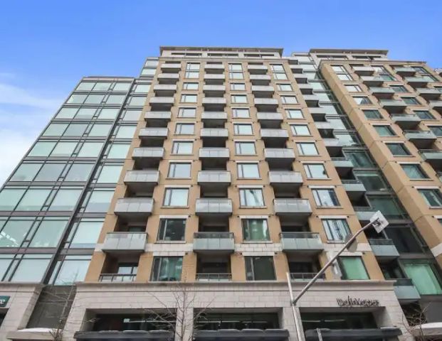 238 Besserer Street Unit 209, Sandy Hill - Available from November 1st 2025 | 238 Besserer Street, Ottawa - Photo 1
