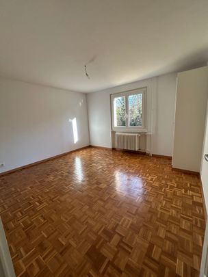2.5 Zimmer, 52 m², 2. Stock - Photo 1