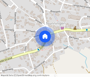 Schöne Wohnung mit Galerie und grossem Garten - Photo 1