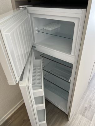 Location Appartement 1 pièce 21m² STRASBOURG 67000 - Photo 1