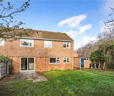 4 bedroom property to rent - Photo 4