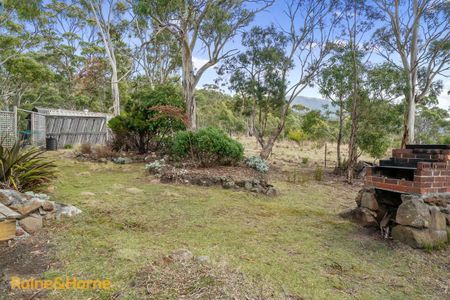 Wonderful cottage in bush setting - Photo 5