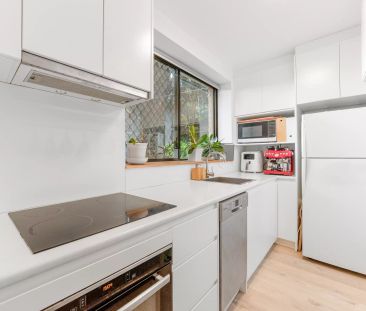 SPACIOUS 2 BEDROOM MODERN RETREAT WITH HUGE PRIVATE COURTYARD + PAR... - Photo 5