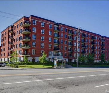 À louer / Appartement - Photo 1