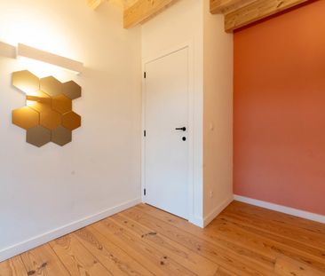 Boom - Huis - Foto 5