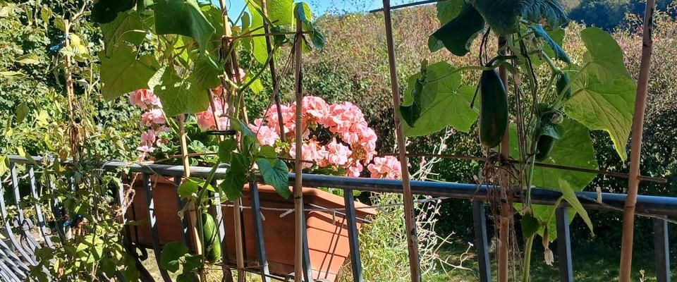 Wohnung nähe Hanau zu vermieten/Mieszkanie pracownicze - Foto 1
