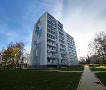 Möblierte 1-Raum-Wohnung mit Balkon - Foto 6