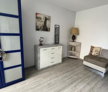 Location Appartement 1 pièce 24m² RIEDISHEIM 68400 - Photo 3