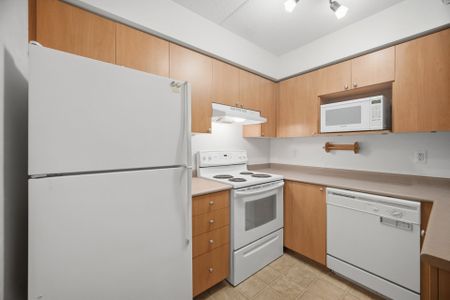 For Lease - 1491 Maple Avenue Unit# 206, Milton, Ontario - Photo 4